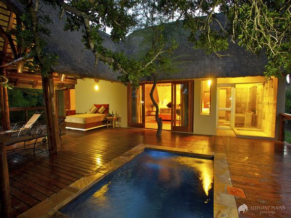 Elephant Plains Game Lodge - pool patio